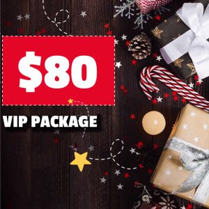 Webster Black Friday Vendor Market VIP Vendor $80