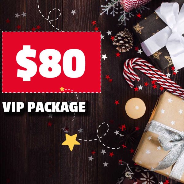 Webster Black Friday Vendor Market VIP Vendor $80